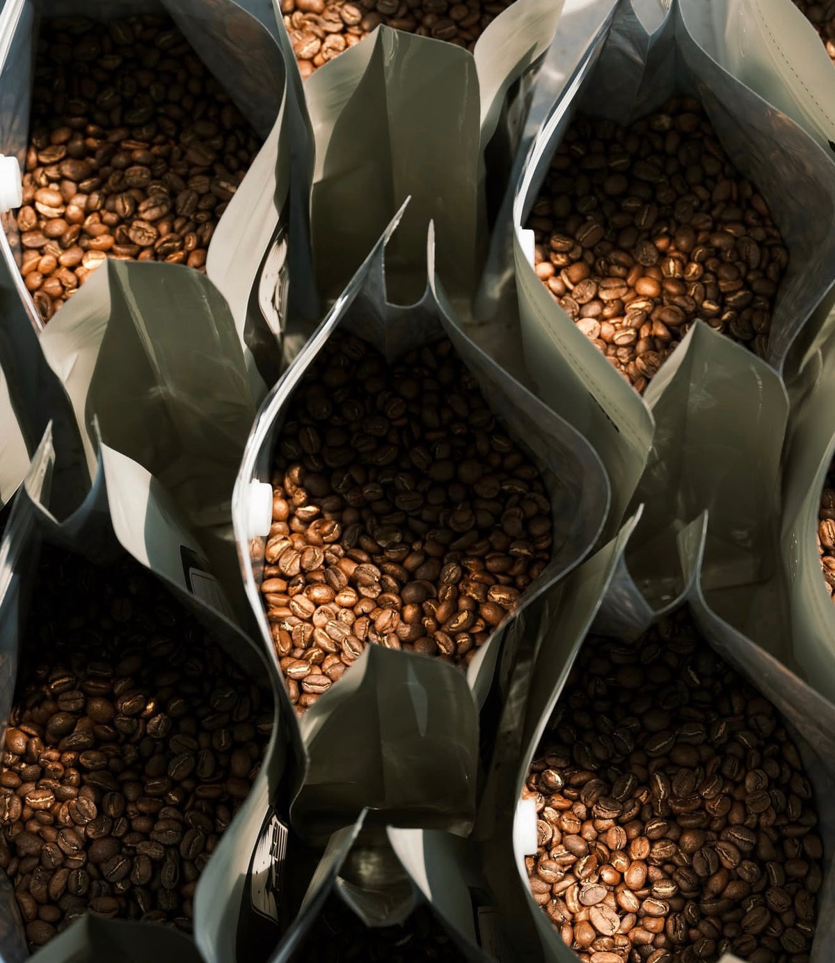 Open bags filled with fresh-roasted coffee from Dahlia's Coffee Co.